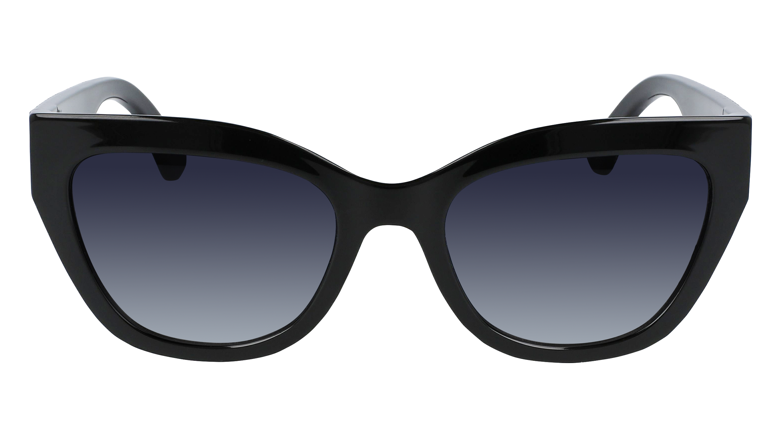 longchamp plastic bolsa