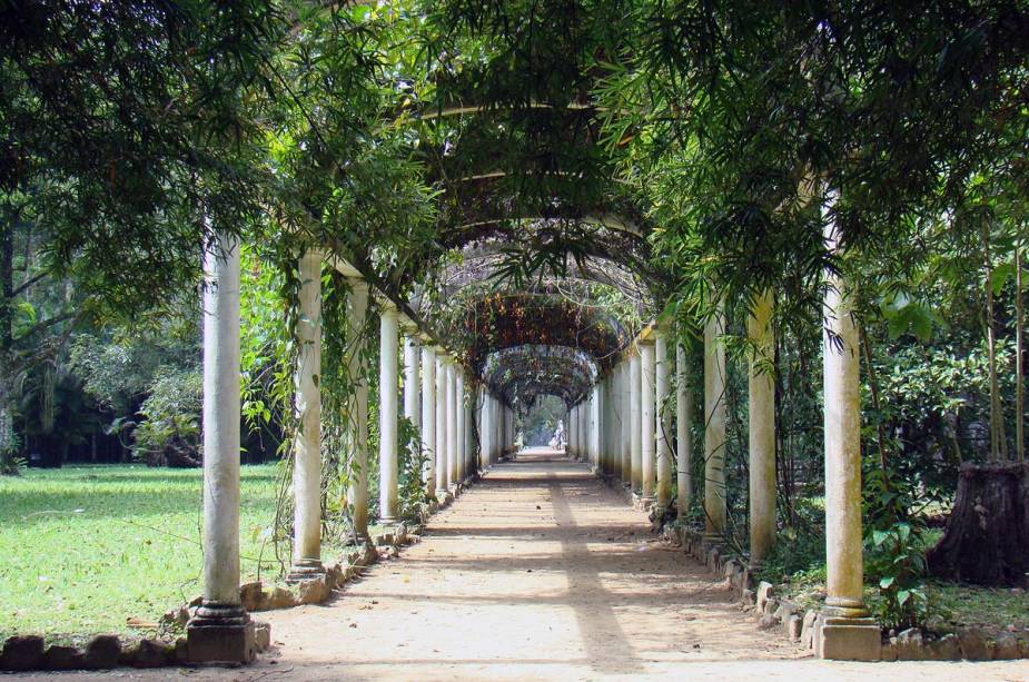 PE Jardim Botânico