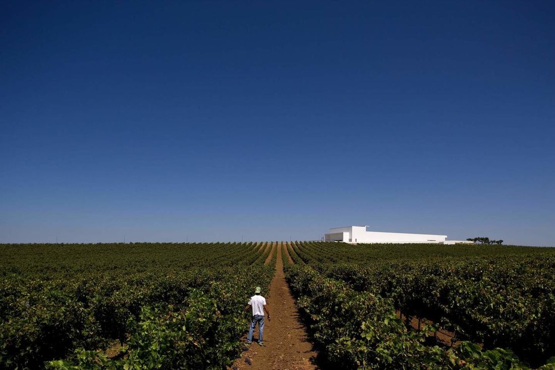 Alentejo guarda muitos tesouros para amantes de vinhos - Blog Ana