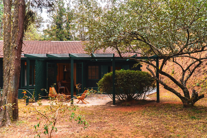 Lançamentos Horto Florestal